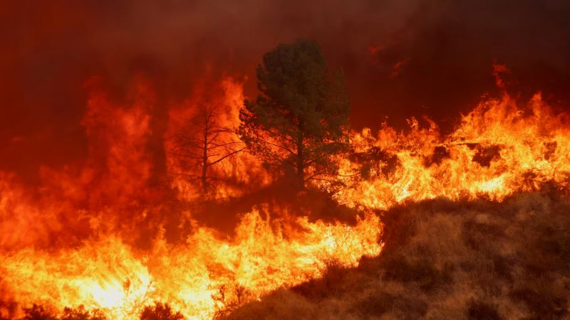 যুক্তরাষ্ট্রে দাবানল: নিয়ন্ত্রণের ‘মনুষ্য সীমা’ অতিক্রম করেছে আগুন, ক্ষয়ক্ষতি ধ্বংসযজ্ঞের মত!